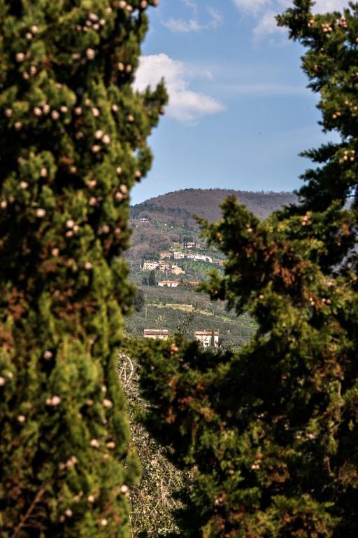 Agriturismo Il Piastrino Vinci Exterior photo
